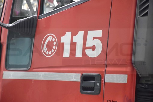 Tribogna, albero pericolante sulla Statale 225 della Fontanabuona: strada temporaneamente chiusa al traffico Tribogna, albero pericolante sulla Statale 225 della Fontanabuona: strada temporaneamente chiusa al traffico