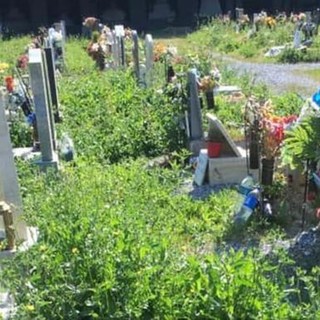 Partita la procedura per la privatizzazione dei servizi nei cimiteri di Genova, ma a Sampierdarena ci sono perplessità e contestazioni