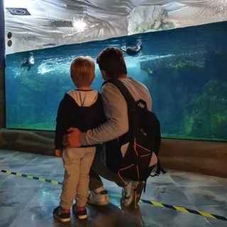 L’Italia che riparte: a Cattolica squali, pinguini e lontre, ma con le mascherine (FOTO e VIDEO)