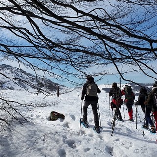 Le stagioni del Beigua: dalle ciaspolate sulla neve alle foreste tropicali