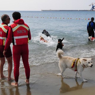 Voltri, i cani da salvataggio in azione sulla spiaggia