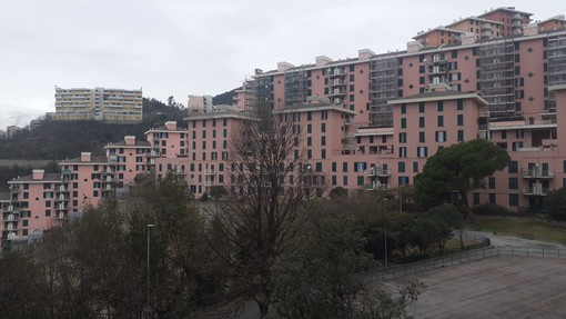 Cep, aperta la manifestazione di interesse per la gestione delle nuove aree sportive di via Novella Cep, aperta la manifestazione di interesse per la gestione delle nuove aree sportive di via Novella
