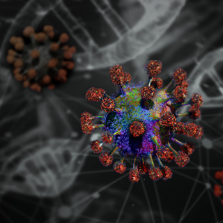 Coronavirus: calo dei positivi in Liguria (-86), ma si registra un ricovero in più in terapia intensiva