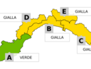 Maltempo, scatta l'allerta gialla per temporali Maltempo, scatta l'allerta gialla per temporali