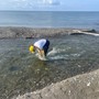 Goletta Verde, sei punti fuori dai limiti in Liguria: quattro sono “fortemente inquinati” Goletta Verde, sei punti fuori dai limiti in Liguria: quattro sono “fortemente inquinati”