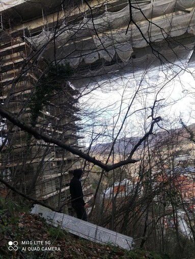 Ristrutturazione del viadotto Bisagno: verso l'attivazione del tavolo Pris, ma occorre fare in fretta (FOTO) Ristrutturazione del viadotto Bisagno: verso l'attivazione del tavolo Pris, ma occorre fare in fretta (FOTO)