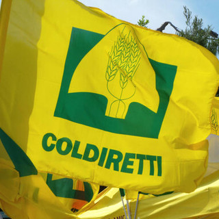 L'allarme di Coldiretti Liguria: "Le decisioni di Bruxelles spaventano le imprese agricole"