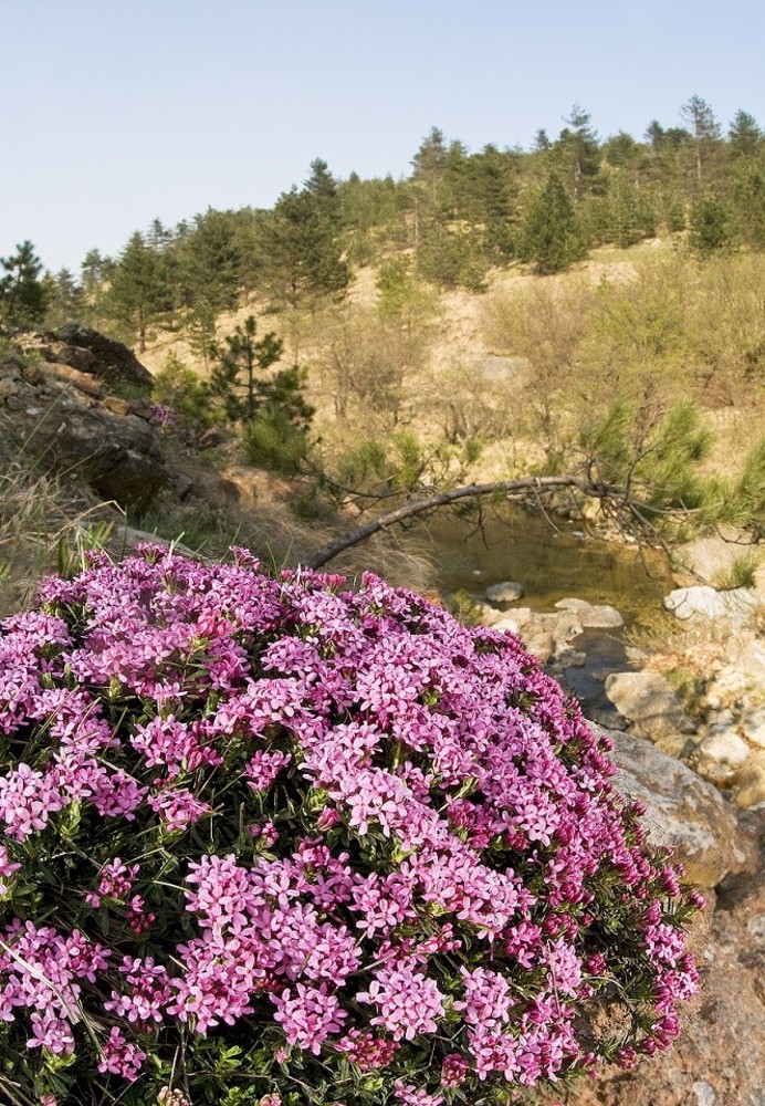 Al Beigua Geopark: al via il Maggio dei Parchi