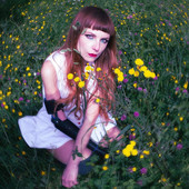 La musica che ci gira intorno - Doolia, una vita di musica in continua evoluzione