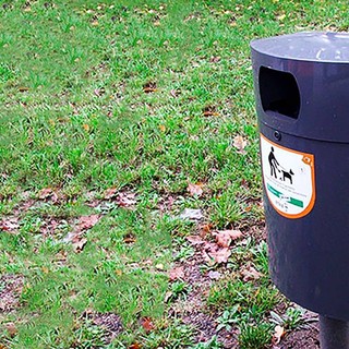 Deiezioni canine e padroni ‘distratti’, la maggioranza in Municipio VII Ponente chiede più controlli