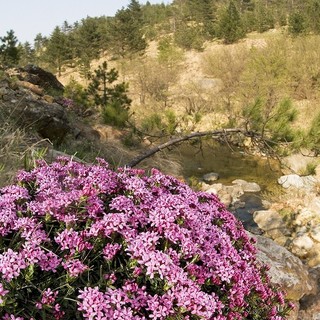Al Beigua Geopark: al via il Maggio dei Parchi