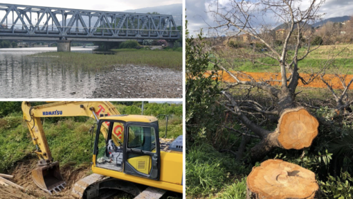 Fiume Entella, il possibile vincolo paesistico non ferma il taglio degli alberi Fiume Entella, il possibile vincolo paesistico non ferma il taglio degli alberi
