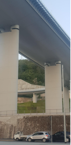 Tappeto verde sulla collina del Campasso posato come rotoli, ma l’effetto diventa a scacchiera e non piace Tappeto verde sulla collina del Campasso posato come rotoli, ma l’effetto diventa a scacchiera e non piace