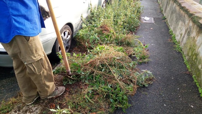 Pegli, viale Modugno ripulita dalle erbacce: grazie ai cittadini e ai lavoratori socialmente utili