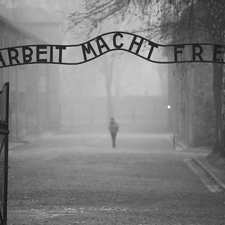 “Fatti non foste a viver come bruti”: il reading per il Giorno della Memoria