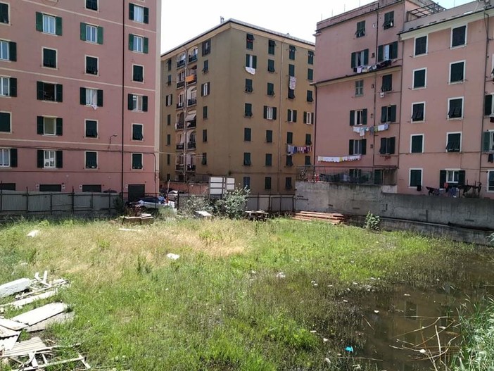 Sampierdarena: al posto dei box erbacce e un acquitrino Sampierdarena: al posto dei box erbacce e un acquitrino