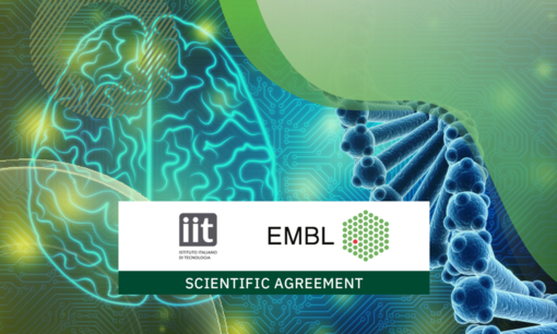 Unire le forze per espandere la ricerca: siglata intesa fra il Laboratorio Europeo di Biologia Molecolare e l'IIT
