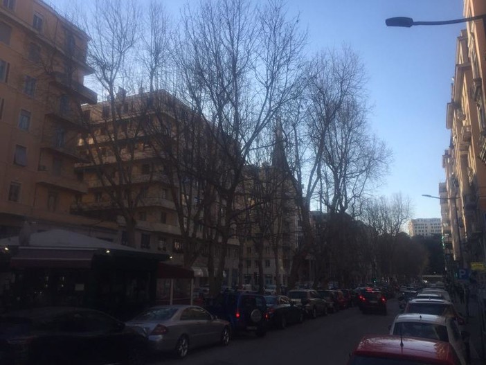 Foce, rivolta contro gli escrementi dei volatili sulle auto in via Cecchi