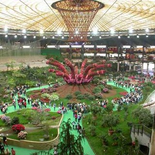 Aspettando Euroflora: gli eventi nelle piazze genovesi