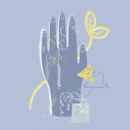 "Tracce dall’Accademia", gli studenti della Ligustica in mostra presso Banca Generali