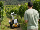 L'IIT sviluppa Frasky, il robot che coltiva i vigneti in autonomia L'IIT sviluppa Frasky, il robot che coltiva i vigneti in autonomia