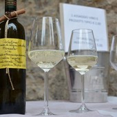 Foto Facebook Enoteca Regionale della Liguria