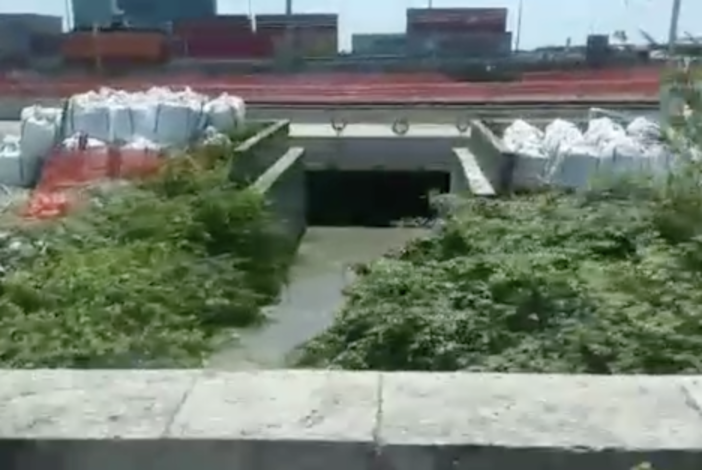 Palmaro, la fogna a cielo aperto che ammorba tutto il quartiere (VIDEO) Palmaro, la fogna a cielo aperto che ammorba tutto il quartiere (VIDEO)