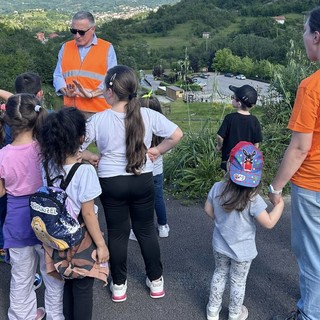 Covid, Coldiretti: "70 mila cinghiali assediano la Liguria"