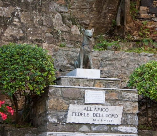 San Rocco di Camogli, “Premio Fedeltà del Cane”: Shiva vince la 61esima edizione