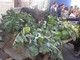 Fuoriporta: a Margarita (Cn) torna la Sagra d’l Coj: tre giorni di festa, tradizione e sapori per la 21ª edizione Fuoriporta: a Margarita (Cn) torna la Sagra d’l Coj: tre giorni di festa, tradizione e sapori per la 21ª edizione