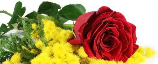 Mercoledì 8 marzo all'Osteria del Tempo Stretto di Albenga una cena speciale per la Festa della Donna Mercoledì 8 marzo all'Osteria del Tempo Stretto di Albenga una cena speciale per la Festa della Donna