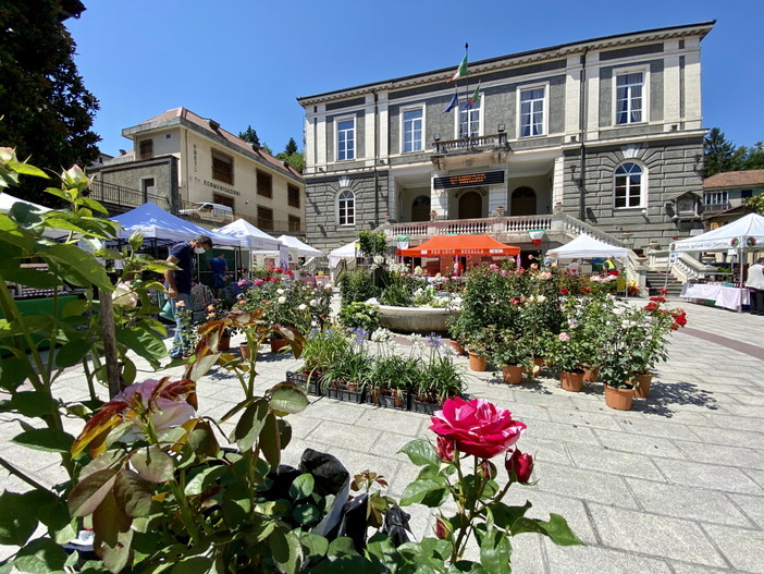 “Festa delle Rose – Busalla è un fiore”, al via l'evento che celebra la Rosa da sciroppo della Valle Scrivia