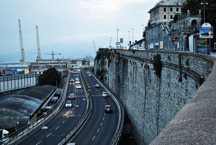 Genova, paura sulla sopraelevata: cane scappa e finisce tra le auto in corsa in piena notte