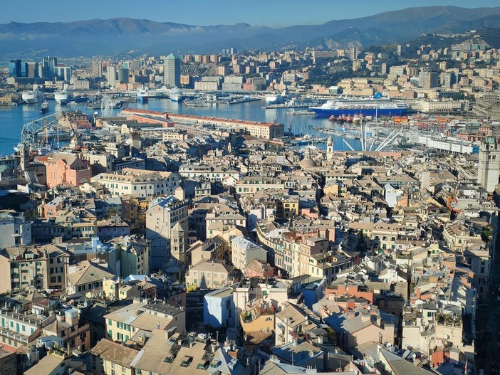 Porto, appalti, voti e cocaina: Genova nella mappa del potere criminale disegnata dalla DIA in Liguria Porto, appalti, voti e cocaina: Genova nella mappa del potere criminale disegnata dalla DIA in Liguria