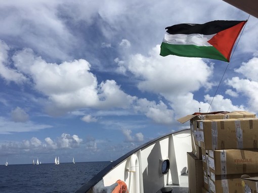 Flotilla, gli ultimi attivisti lasceranno oggi Israele: "Noi trattati come scimmie al circo" Flotilla, gli ultimi attivisti lasceranno oggi Israele: "Noi trattati come scimmie al circo"