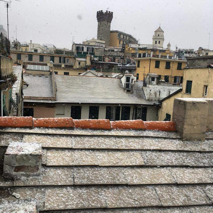 Neve sulla Liguria: a Genova scatta l'allerta gialla