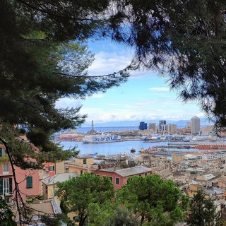 L’Autorità di Sistema Portuale mette mano ai Piani Regolatori Portuali di Genova e Savona/Vado: erano dei primi anni duemila L’Autorità di Sistema Portuale mette mano ai Piani Regolatori Portuali di Genova e Savona/Vado: erano dei primi anni duemila