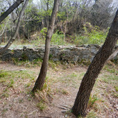 Alla scoperta dei Forti - Difendere Genova dopo Napoleone: così nacque la Torre delle Bombe