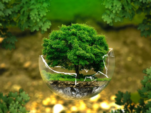 Il Festival della Giornata Mondiale dell'Ambiente sul nostro quotidiano il 5 giugno Il Festival della Giornata Mondiale dell'Ambiente sul nostro quotidiano il 5 giugno