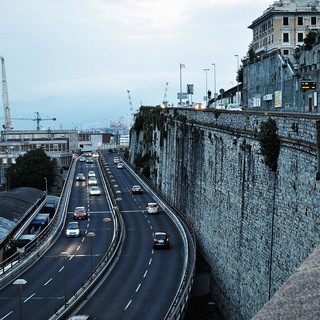 Genova, paura sulla sopraelevata: cane scappa e finisce tra le auto in corsa in piena notte