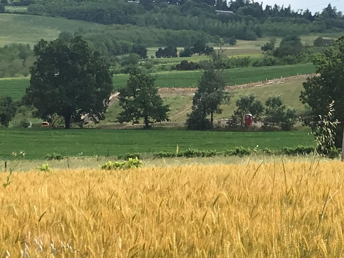 Per L’Oasi dei Mici Felici la nuova avventura in collina (FOTO)