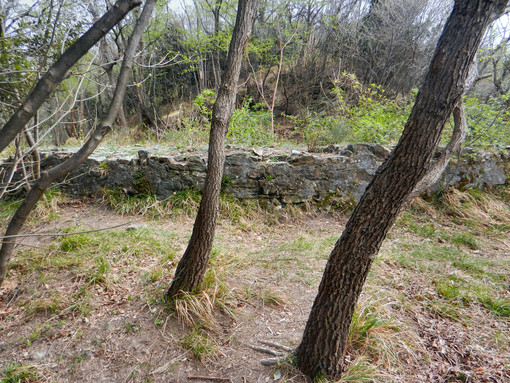 Alla scoperta dei Forti - Difendere Genova dopo Napoleone: così nacque la Torre delle Bombe Alla scoperta dei Forti - Difendere Genova dopo Napoleone: così nacque la Torre delle Bombe