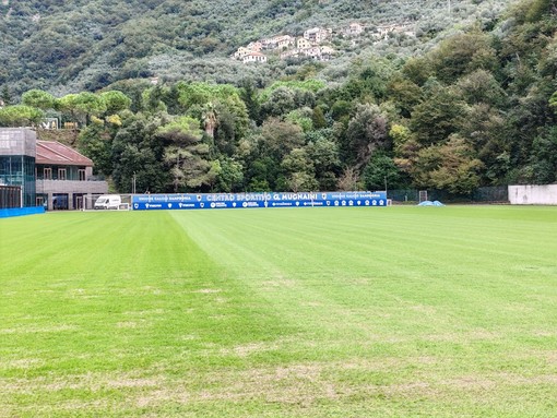 Sampdoria al lavoro durante la sosta: obiettivo Cesena Sampdoria al lavoro durante la sosta: obiettivo Cesena