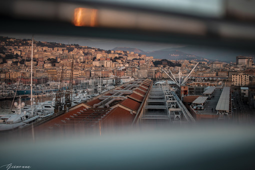 Domenica in città: cosa fare a Genova e dintorni