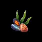 Gusci di molluschi e biomasse algali diventano risorse con il progetto UniGe LASER Gusci di molluschi e biomasse algali diventano risorse con il progetto UniGe LASER