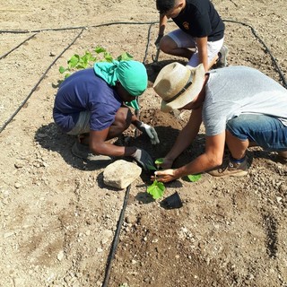 "Orti-culture": premiato il progetto di agricoltura sociale e corretta alimentazione
