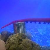 Dagli abissi ai laboratori di Erzelli: ecco il robot-polpo della robotica genovese Dagli abissi ai laboratori di Erzelli: ecco il robot-polpo della robotica genovese