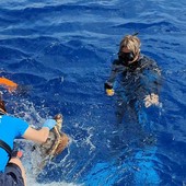 La giovane tartaruga carretta carretta Lorena è ritornata in mare