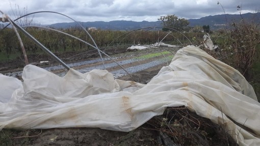 Anche gli agricoltori colpiti dal maltempo, Cia chiede di fare in fretta una conta dei danni