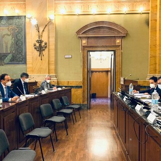 Peste suina, vertice tra i presidenti di Piemonte e Liguria e i ministri Patuanelli e Speranza (FOTO)